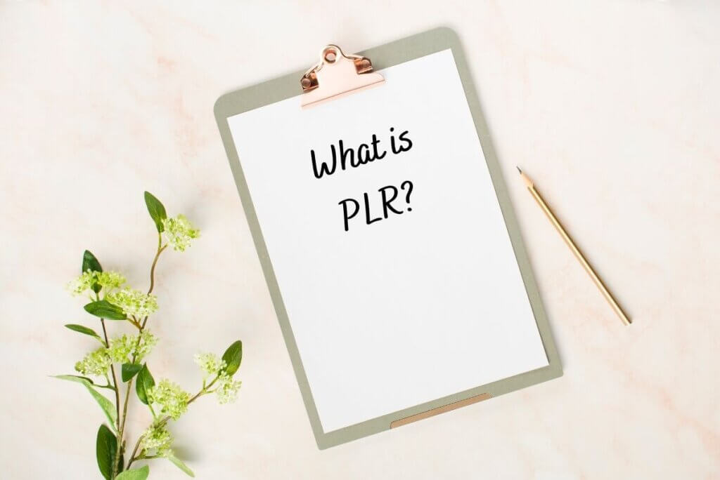clipboard with text What is PLR